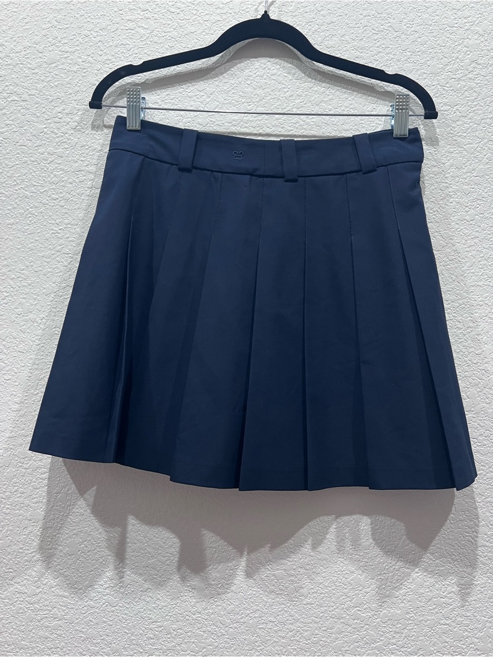 Aritzia Navy Pleated Skater Skirt
